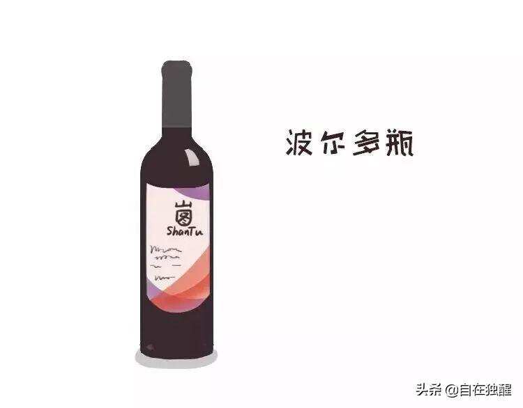 葡萄酒瓶大解密