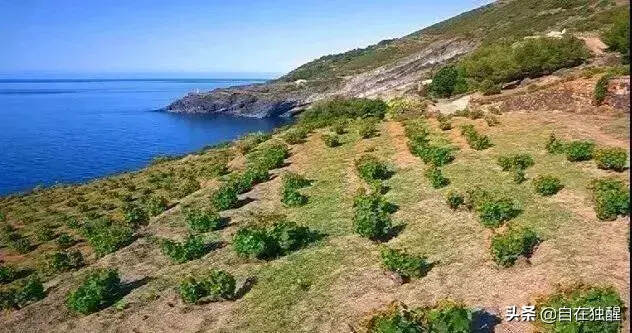 除了意大利的普羅塞克葡萄酒產區，你還知道哪些申遺成功的產區？