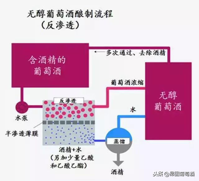 酒癮犯了，可是又要開車怎么辦？喝無醇葡萄酒真的不會導致酒駕嗎