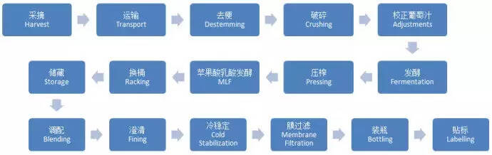 一顆葡萄從果實變成美酒的旅程，現在了解了