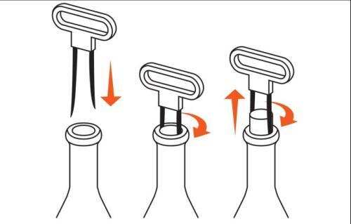 葡萄酒香檳各種開瓶步驟分解，網友：一看就會