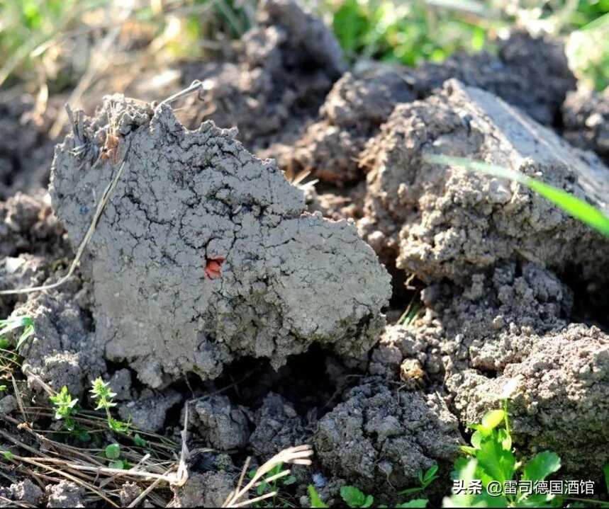 巴登｜一個沐浴在陽光之下“皮諾天堂”