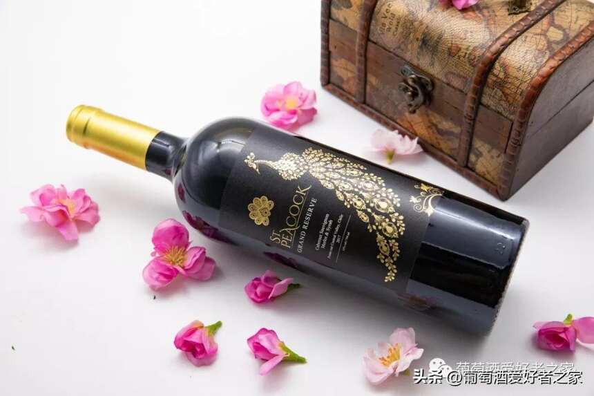 南美葡萄酒雙雄之——智利篇