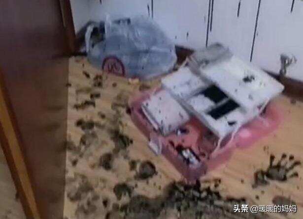 5歲女兒玩墨水，墻壁地板印滿“如來神掌”，看到娃后網友笑翻了