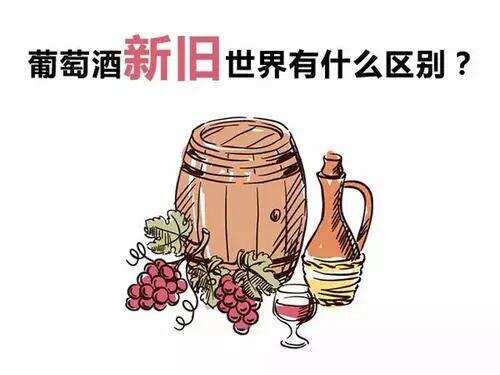 葡萄酒的新舊世界