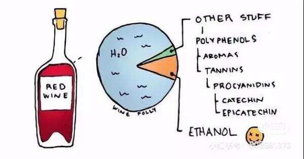 紅酒小知識，看完漲姿勢