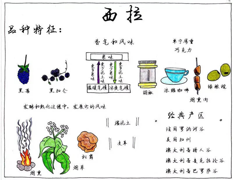 最全葡萄品種圖鑒