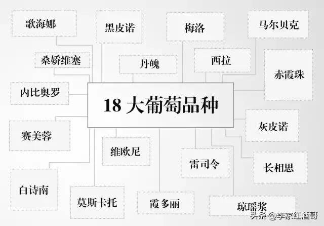 葡萄酒基礎知識，掌握這些你就入門了