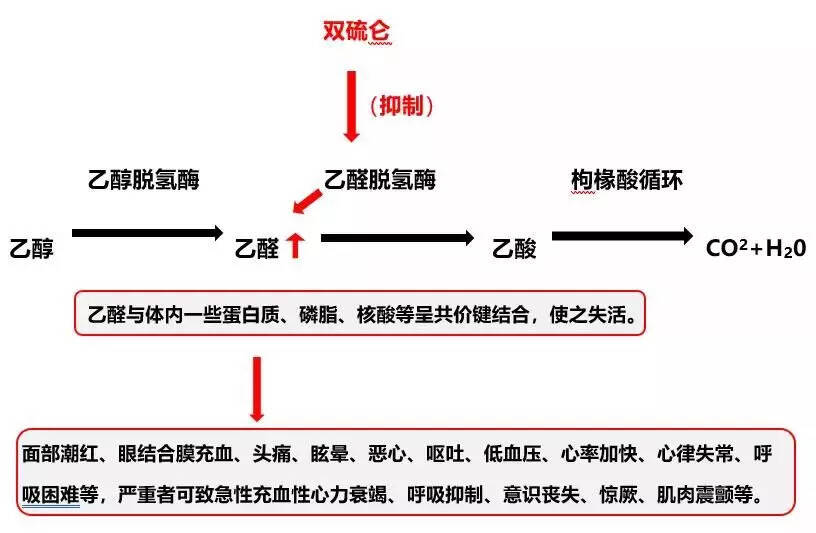 除了頭孢，服這7類藥物飲酒也致死