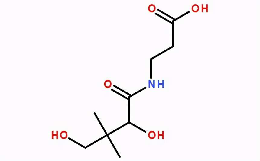 葡萄酒對身體健康你不知道的事