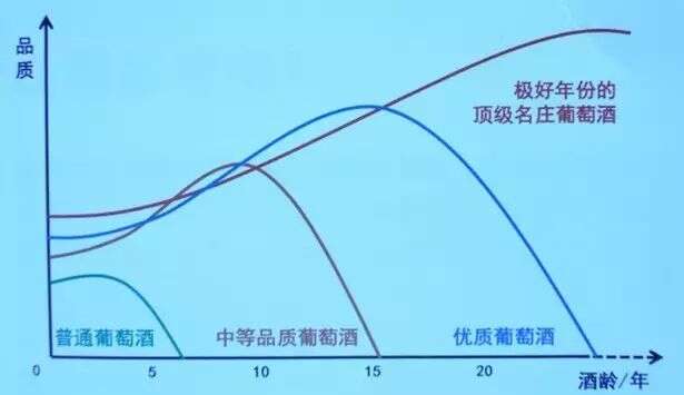 葡萄酒應更多關注“最佳試飲期”，而不是“保質期”