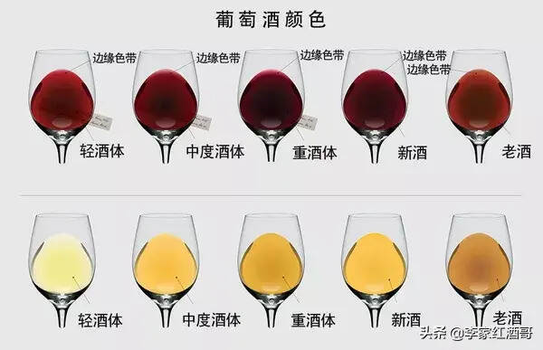 為什么要45°看葡萄酒？有什么作用呢？