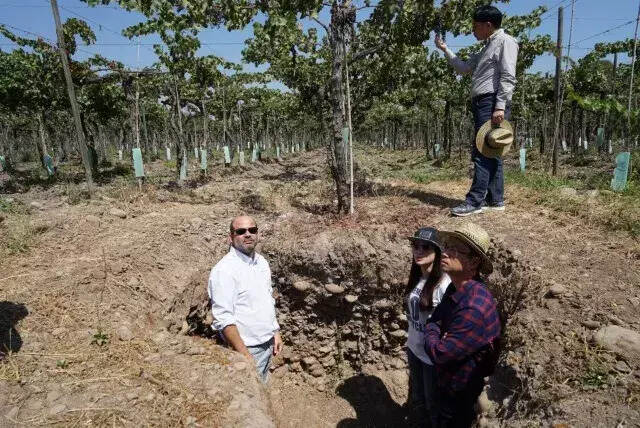 這個酒莊“上山下海”，就是為了找到智利最好的風土