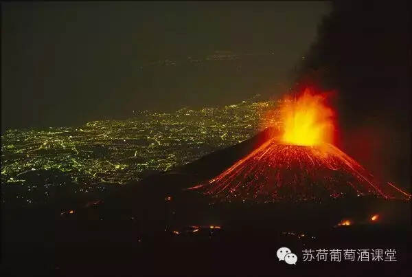 西西里島西拉：葡萄酒大賽金獎 橡木桶熟化8個月 濃郁成熟水果味