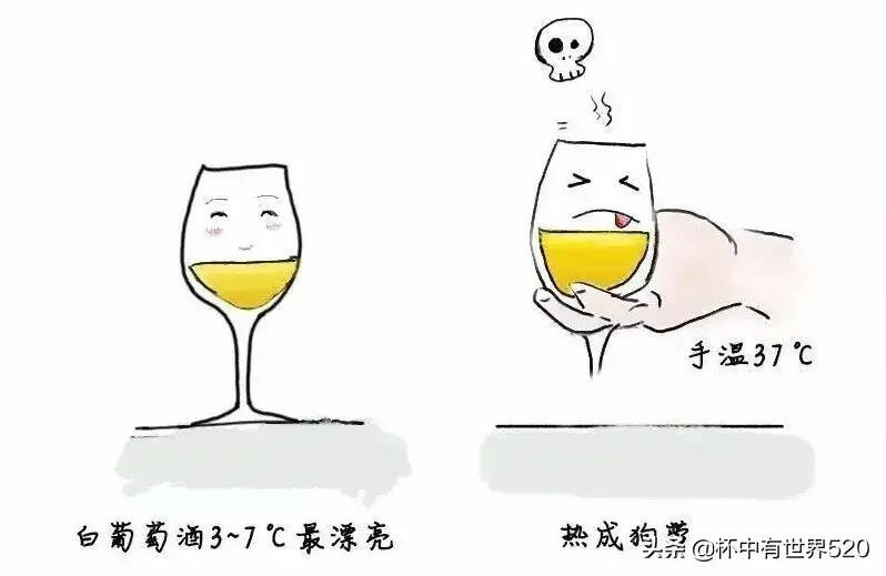 看圖學葡萄酒社交禮儀