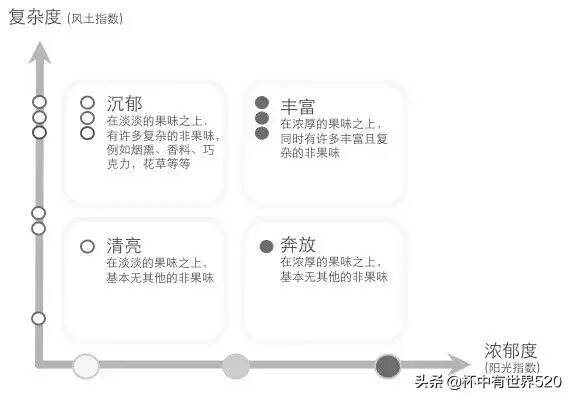 如何形容一款葡萄酒？這些葡萄酒描述詞既“有腔調”又實用