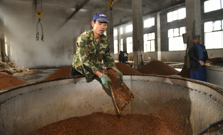 為什么醬酒酒廠要在凌晨開始釀酒？