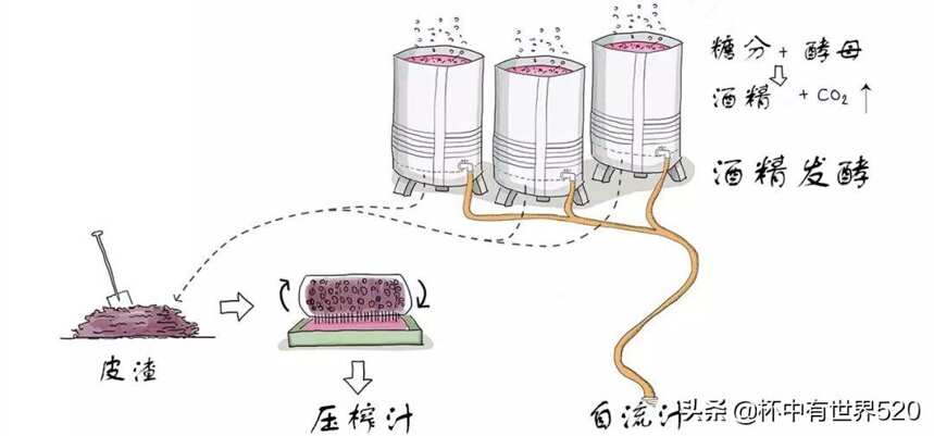 葡萄酒里為什么會有沉淀？如何處理？