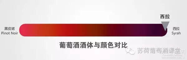 西西里島西拉：葡萄酒大賽金獎 橡木桶熟化8個月 濃郁成熟水果味