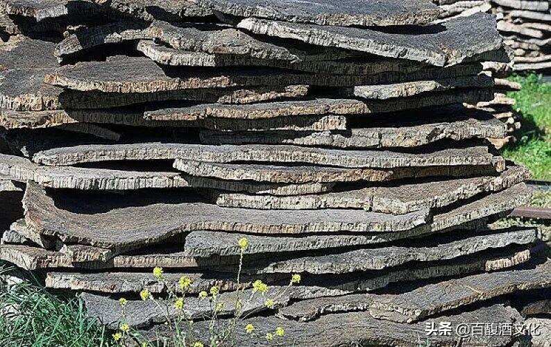 “Cork”坎坷的一生