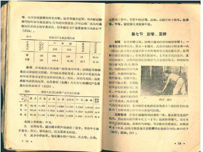 由我國政府主導出版的第一部白酒釀造類技術圖書是哪一部，知道嗎