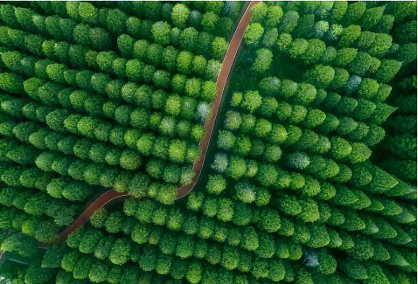 世界地球日｜每一滴酒 來自地球寶貴的饋贈