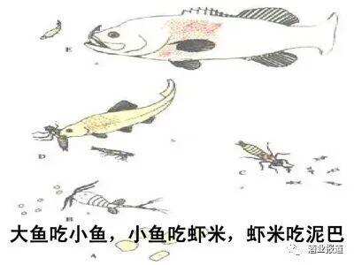 資本競相涌入白酒業，警惕“灰犀牛”！“大魚吃小魚”時代來臨