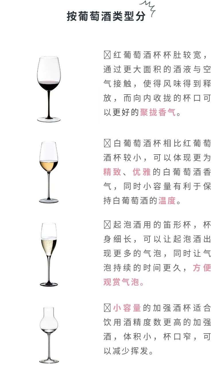 WINE TALKS 酒之秘語 5.品酒的樂趣，從選對酒杯開始