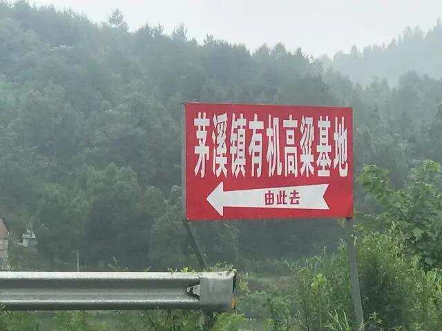 中國酒產區行走進四川：400億打造“醬香源地 茅溪新鎮”