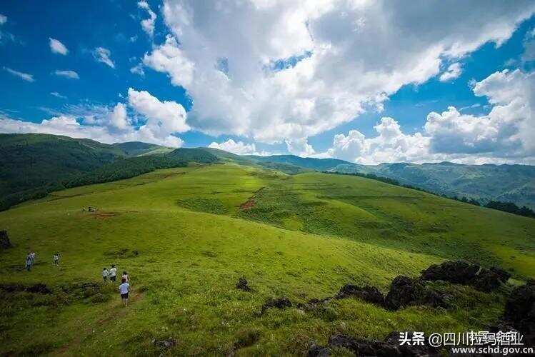 燕麥酒之鄉——會東