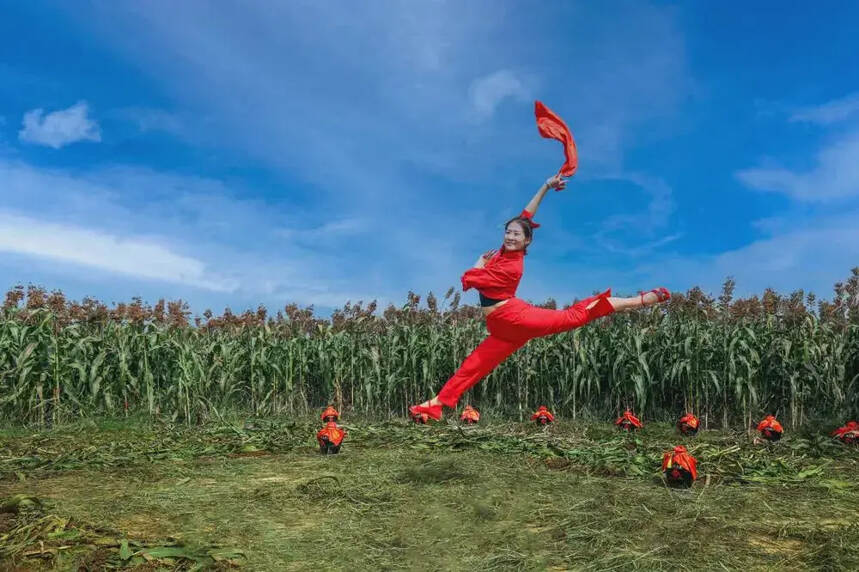 溫和酒業喊你領獎了！“高粱紅了”首屆攝影視頻詩歌大賽頒獎通知