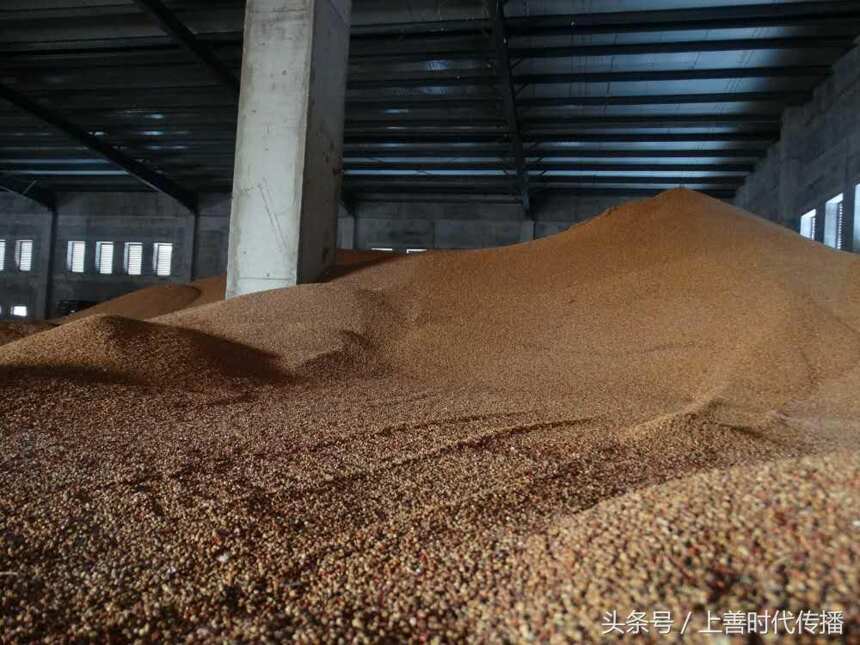 龍江家園受到專家點贊 堅持釀造出好酒為大眾服務