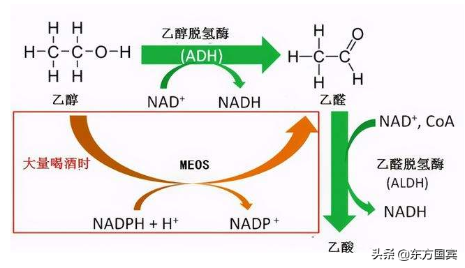 喝酒臉紅的人酒量差？學會這幾招，瞬間看穿對方的酒量