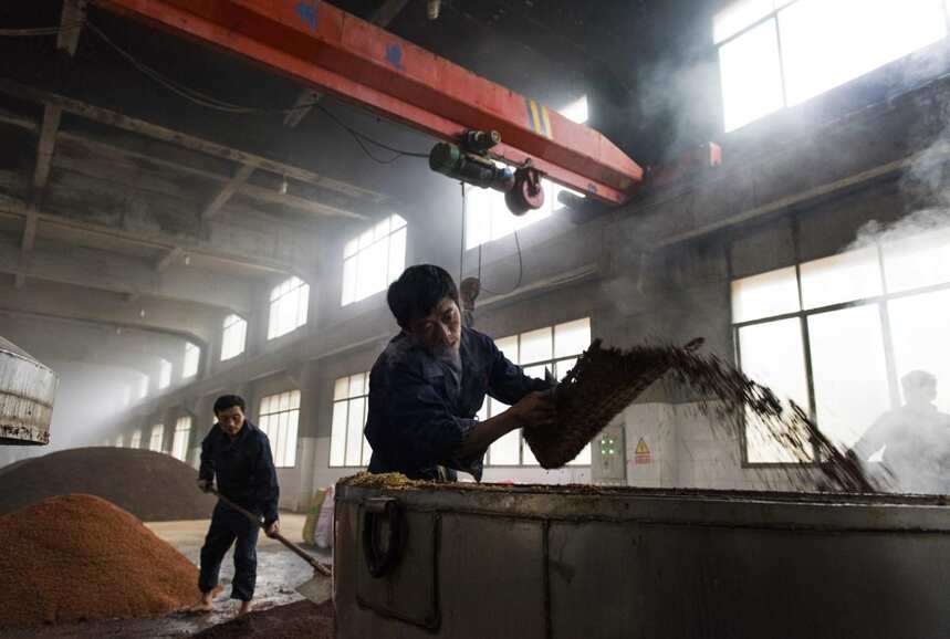 揭秘衡水老白干酒蒸餾，學習老白干的蒸餾操作，老師傅不愿透露