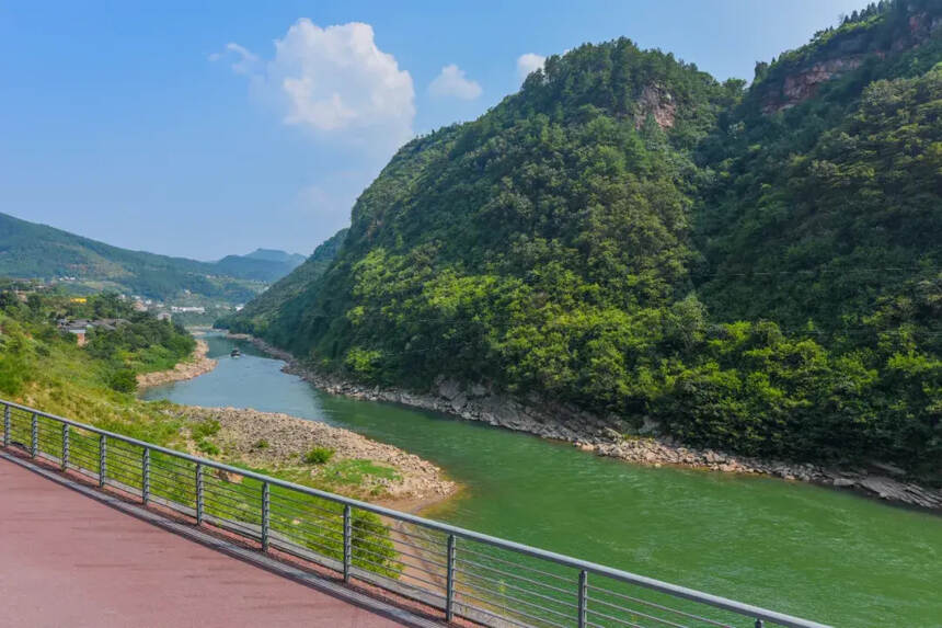 心悠然醬酒：萬畝高粱地，才是中國好醬酒的第一生產車間