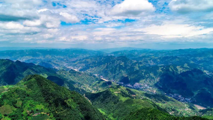 心悠然醬酒：萬畝高粱地，才是中國好醬酒的第一生產車間