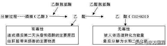 酒量真的可以通過后天鍛煉嗎？連老酒鬼都不知道答案