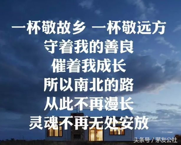 毛不易唱的這八杯酒—道盡了人生！薛之謙聽了想跪，楊冪想流淚！