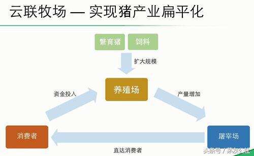 只有1%的人知道的理財方法，難怪他們都實現財務自由