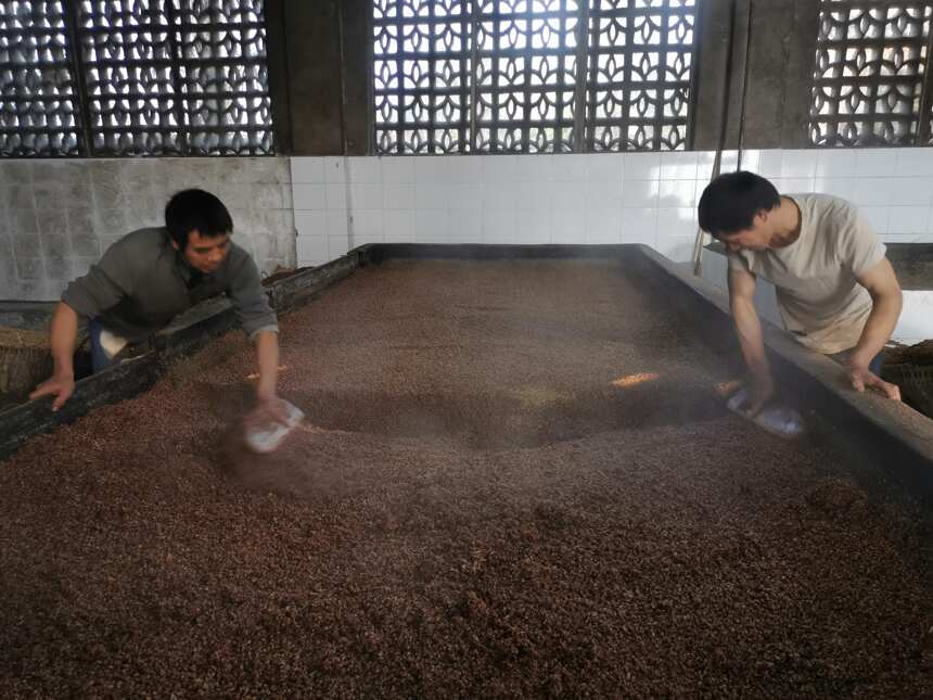 釀酒設備下的釀酒人！不是酒不好而是像這樣執著太少