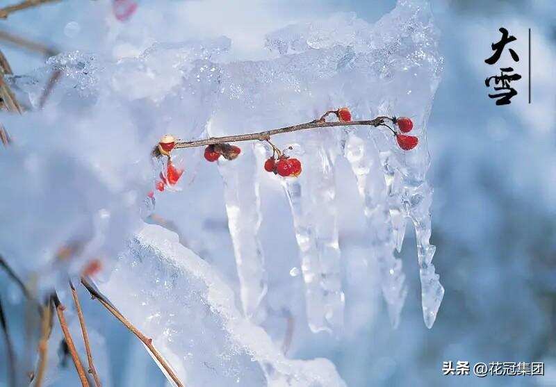 圍爐夜話 大雪煮酒