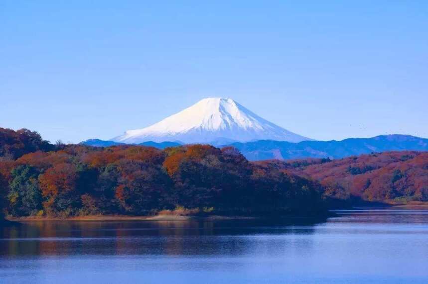 愛喝桃紅、網購上癮：2018年全球香檳消費大國都是這樣喝香檳的！