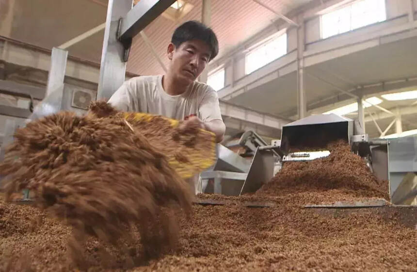 堅守品質彰顯特色，釀造“生態淡雅”河套王