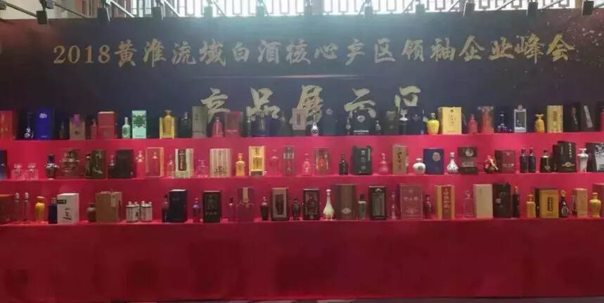 侯建光代表豫酒在蘇魯豫皖白酒峰會上發言：中國白酒的陶醉之美