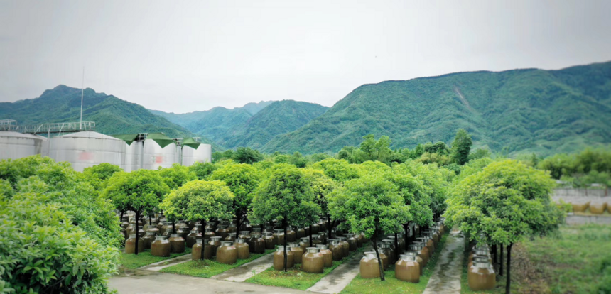 豐淳酒業開啟酒旅融合模式 打造龍門山下網紅打卡地