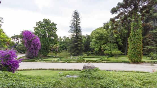 “低干預葡萄酒”之圣麗塔秘境系列（Floresta）