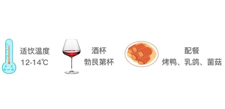 一分鐘搞懂最貴、最受歡迎葡萄酒——黑皮諾