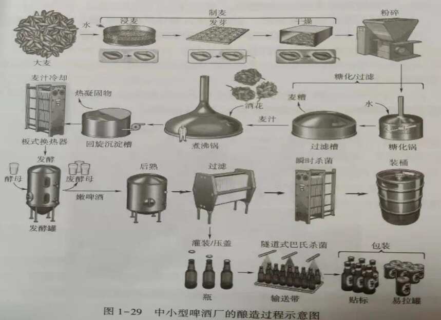 啤酒的基本生產工藝