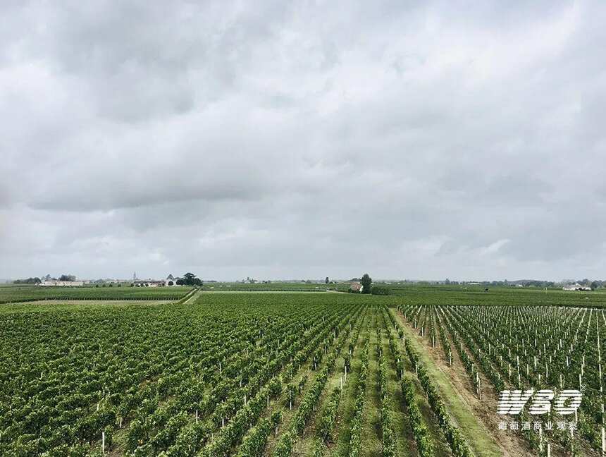 部分波爾多酒莊開始降價清理庫存，10%折扣頻現