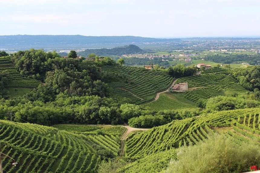 芳巴德 Santenay Clos Faubard